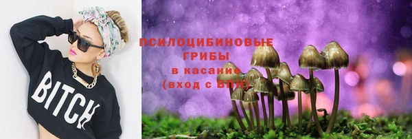 молекула духа Михайлов