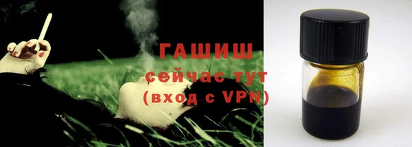 молекула духа Михайлов